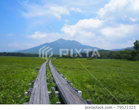 Summer vacation scenery of Ozegahara Wooden path, wetland and mountain scenery The best place for outdoor activities 79521323