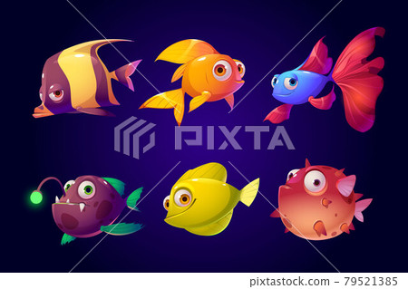 Sea fish, tropical colorful aquarium creatures set 79521385