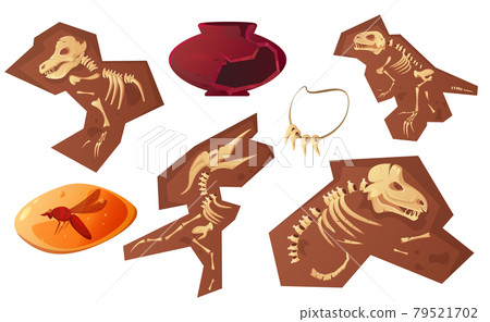 Archaeological and paleontological finds cartoon 79521702