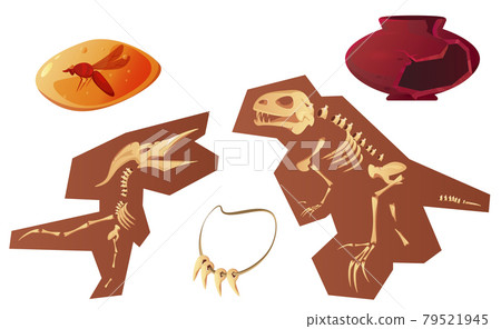 Archaeological and paleontological finds cartoon 79521945