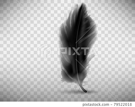 Black fluffy feather with shadow realistic Black fluffy feather with shadow realistic 79522018