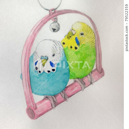 鞦韆和鸚鵡 79522359