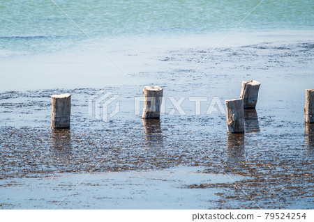 Wooden pier or jetty remains on a blue lake sunset Wooden pier or jetty remains on a blue lake sunset 79524254