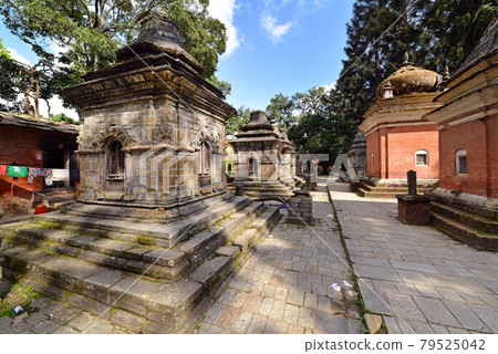 Row of sacred Hindu temples in Pashupatinath, Nepal 79525042