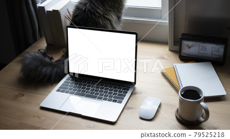 Mock up laptop computer and cat on wooden table. Mock up laptop computer and cat on wooden table. 79525218