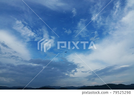 黑風箏在晚上飛在東方的天空和各種雲彩 79525298