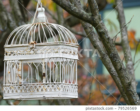 Concept freedom vintage cage outdoors no people park 79526569