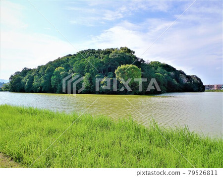 奈良、水仁天皇菅原伏見東陵、水仁陵古墳、堀山古墳、全景、前景草 奈良、水仁天皇菅原伏見東陵、水仁陵古墳、堀山古墳、全景、前景草 79526811