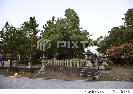 Kitano Tenmangu Shrine 79526928