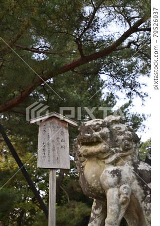 北野天滿宮 北野天滿宮 79526937