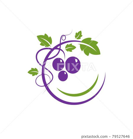 Grapes vector icon illustration design Grapes vector icon illustration design 79527646