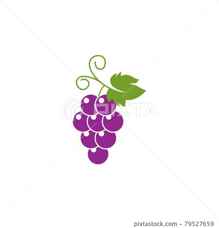 Grapes vector icon illustration design Grapes vector icon illustration design 79527659