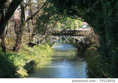 Tamagawajosui Nikko Bridge 79528058