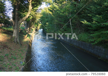 Near Tamagawa Josui Ryokudo Haijima Station 79528060