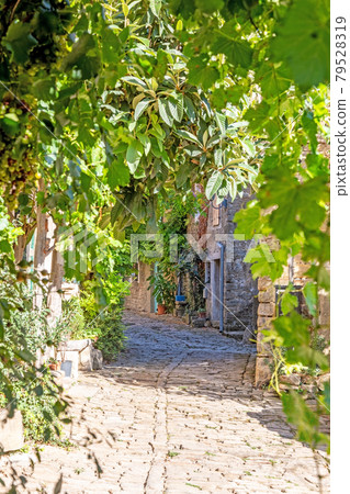 Typical street scene of the medieval town of Groznjan on the Istrian peninsula without people 79528319