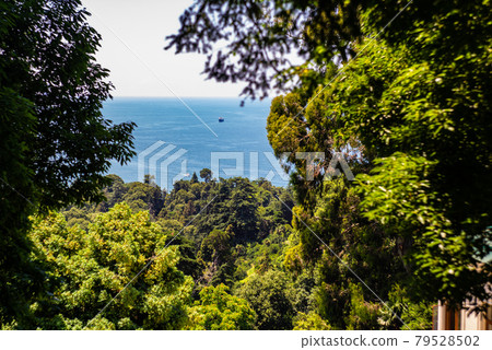 Famous view from Green Cape to the Black Sea Famous view from Green Cape to the Black Sea 79528502