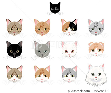 Cat face set 79528512