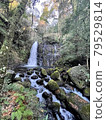 Japanese waterfall 79529814