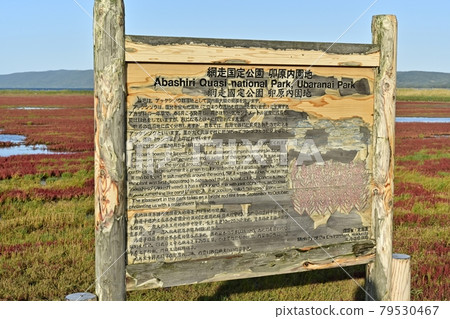 網走市宇原內能取湖秋季珊瑚草群落信息板 79530467