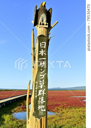 網走市能取湖秋葉珊瑚草群落信息板及觀賞路 網走市能取湖秋葉珊瑚草群落信息板及觀賞路 79530470