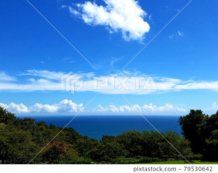 Sagami Bay and Cumulonimbus seen from the summit of Mt. Azuma in Ninomiya Town, Kanagawa Prefecture in early autumn [September] 79530642