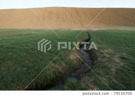 Tottori four seasons walk summer Tottori sand dunes 79530709