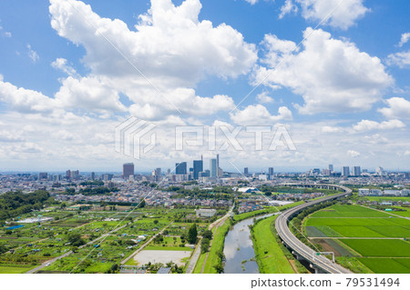 “埼玉縣”埼玉市水沼稻田和夏日的天空 79531494