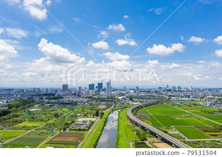 “埼玉縣”埼玉市水沼稻田和夏日的天空 “埼玉縣”埼玉市水沼稻田和夏日的天空 79531504