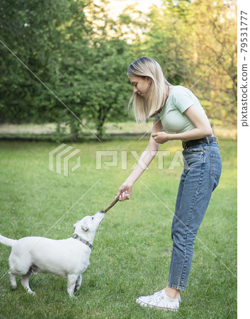 Woman playing with a dog 79531777