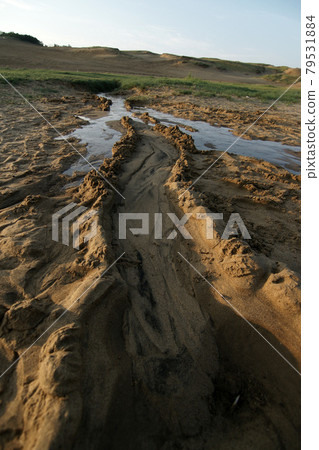 鳥取四季散步夏天鳥取沙丘早晨 79531884