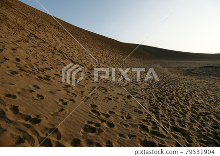 Tottori four seasons walk summer Tottori sand dunes morning Tottori four seasons walk summer Tottori sand dunes morning 79531904