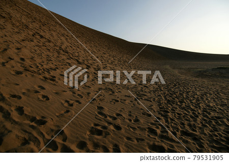 Tottori four seasons walk summer Tottori sand dunes morning 79531905
