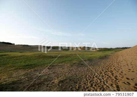 Tottori four seasons walk summer Tottori sand dunes morning Tottori four seasons walk summer Tottori sand dunes morning 79531907