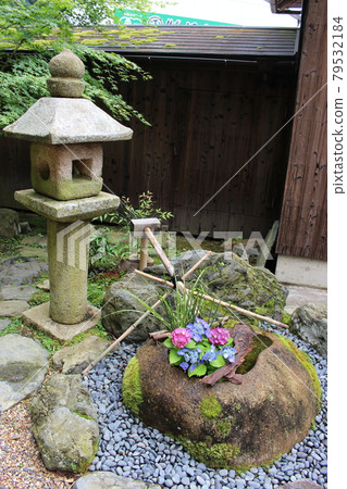 Hydrangea Hydrangea Lantern Shojuin Kyoto Prefecture Uji City Garden Rainy season with rainy season 79532184