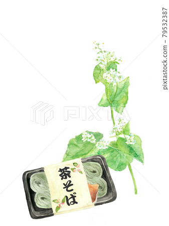 以蕎麥花為背景的茶蕎麥麵[手繪水彩]白色背景與復制空間 PNG 79532387