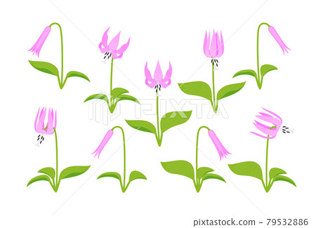 片栗套裝 79532886