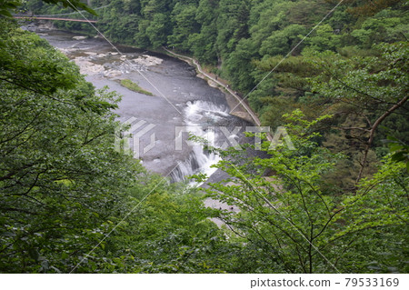 [Numata City, Gunma Prefecture] Fukiwari Waterfall 79533169