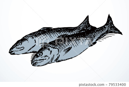 Vector fishes still life from the biblical story Vector fishes still life from the biblical story 79533400