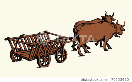 Empty cart drawn by oxen. Vector drawing Empty cart drawn by oxen. Vector drawing 79533430