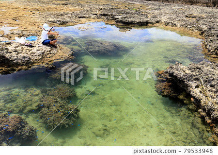 A boy enjoying fishing in the sea of Okinawa Ino A boy enjoying fishing in the sea of Okinawa Ino 79533948
