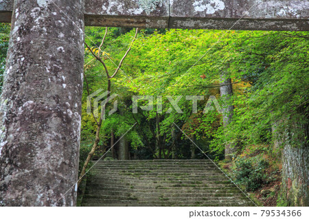 Hikoshiyama Shrine Hikoshiyama Shrine 79534366