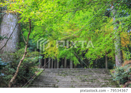 Hikoshiyama Shrine Hikoshiyama Shrine 79534367
