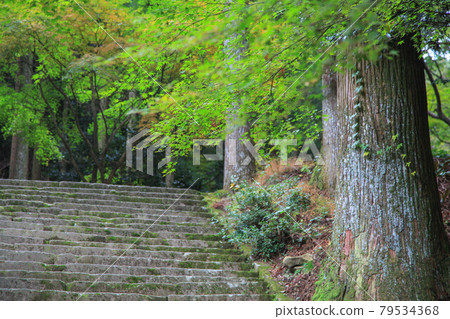 Hikoshiyama Shrine Hikoshiyama Shrine 79534368
