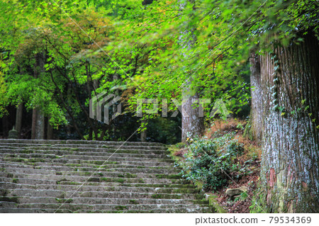 Hikoshiyama Shrine Hikoshiyama Shrine 79534369