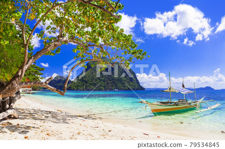 Tropical nature and splendid islands of El Nido. Philippines 79534845