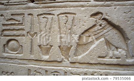 Heiroglyps of Vulture bird craved on tample wall Egypt Heiroglyps of Vulture bird craved on tample wall Egypt 79535066