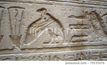 Heiroglyps of Vulture bird craved on tample wall Egypt Heiroglyps of Vulture bird craved on tample wall Egypt 79535070