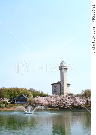 Owariasahi City, Skyward Asahi Cherry Blossom Scenery Owariasahi City, Skyward Asahi Cherry Blossom Scenery 79535581
