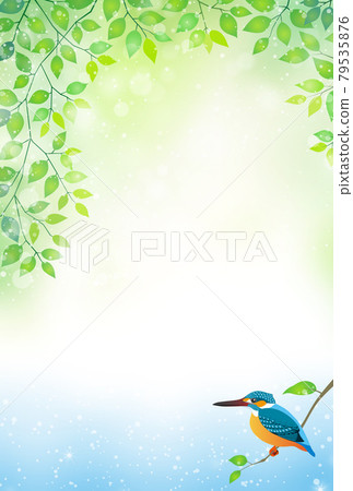 Kingfisher living by the water 79535876