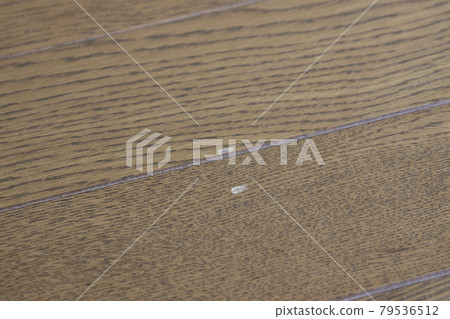 地板上的划痕 79536512